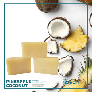 Pineapple Coconut Bar Soap - Case